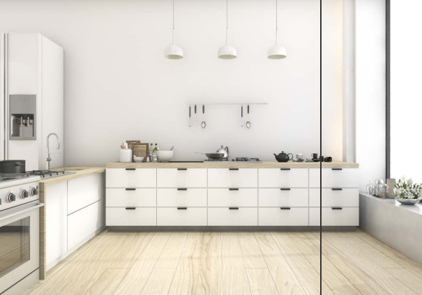  splendid lake view Kitchen