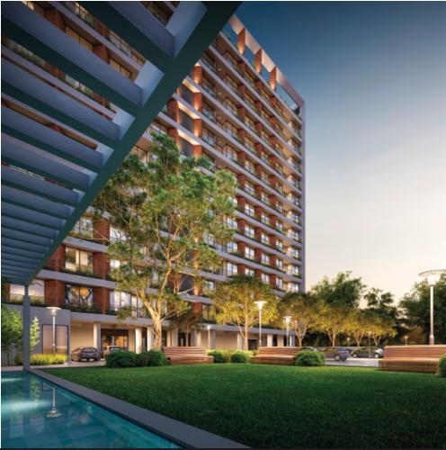 Others sherwoods-96 Others