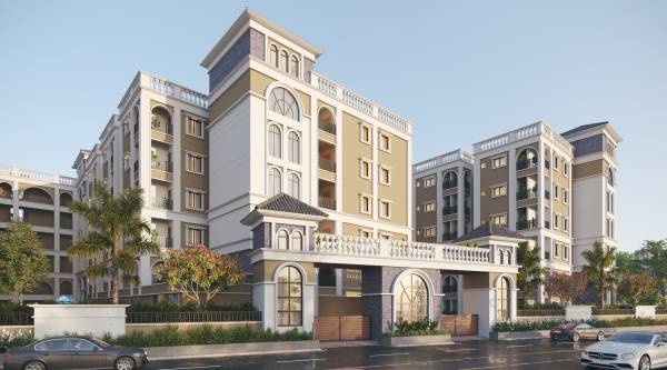 Elevation ace-amura Elevation