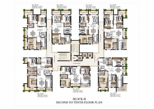  exotica Exotica Tower Begonia Cluster Plan