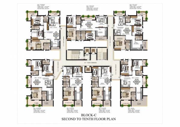  exotica Exotica Tower Begonia Cluster Plan