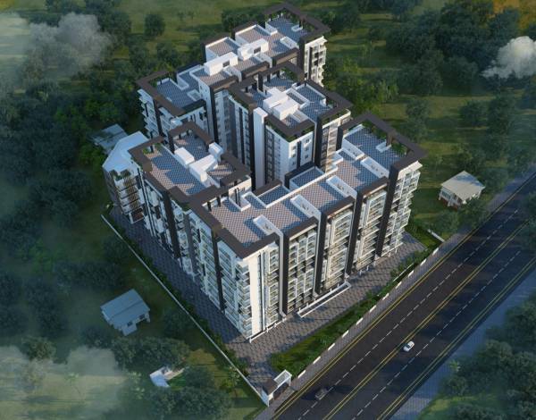 Elevation exotica-begonia Elevation