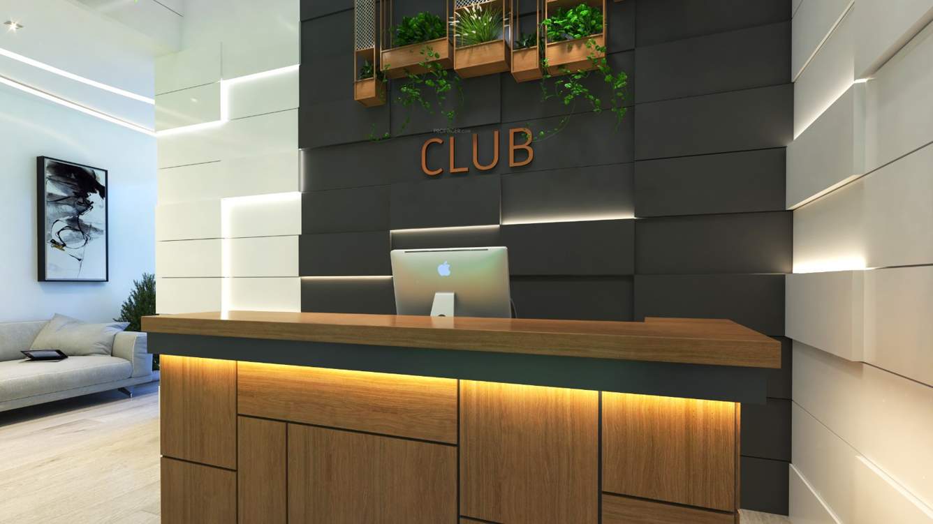  exotica begonia Club House