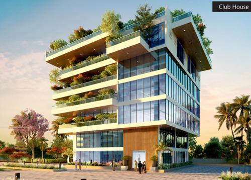  exotica-begonia Club House