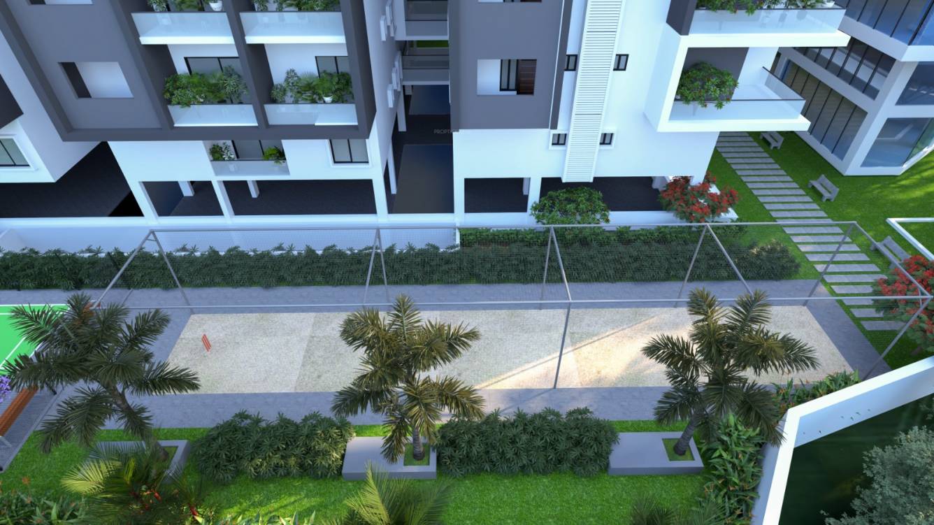  exotica begonia Others