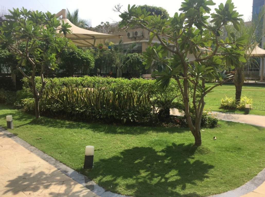  enclave d wing siddhartha Landscape Garden and Tree Planting