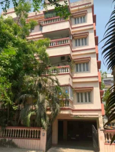  new-project Elevation