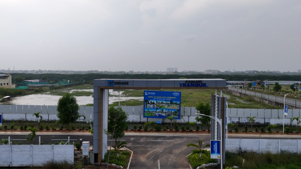 Plot g-square-tranquil Plot