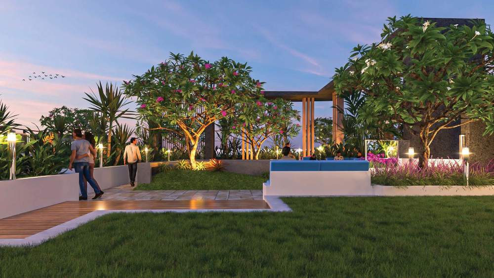  evolve Landscape Garden and Tree Planting