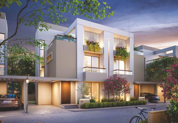  bouganvilla-108 Elevation