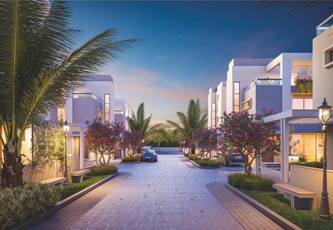 bouganvilla 108 Others