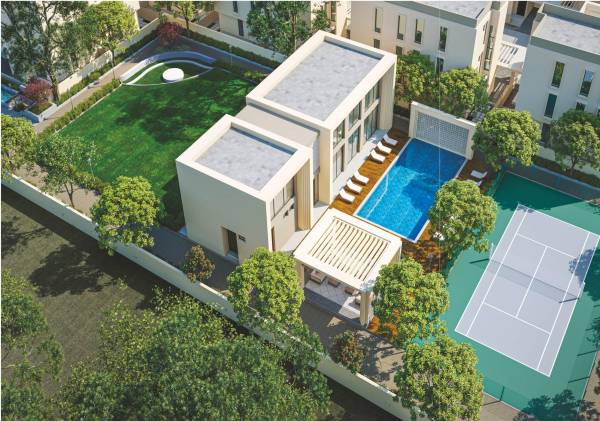 Others bouganvilla-108 Others