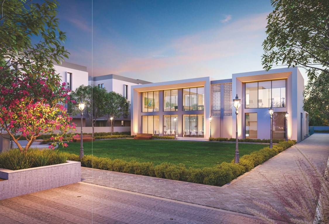 bouganvilla 108 Others