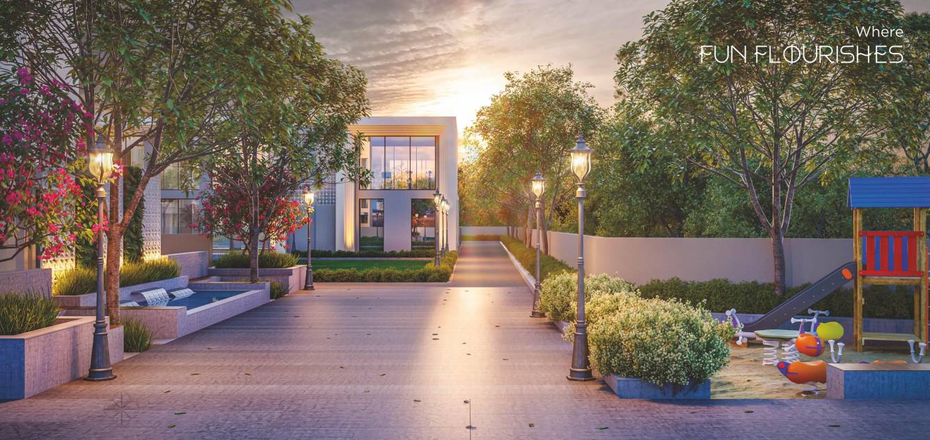 bouganvilla 108 Others