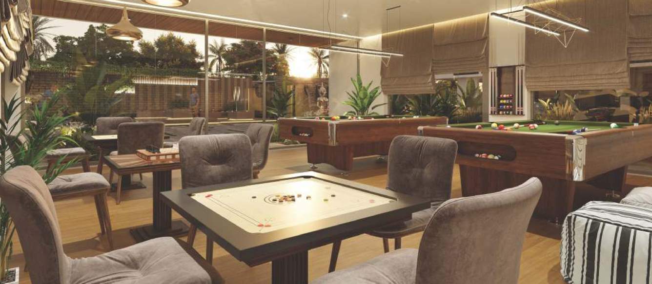  revanta 3 Carrom