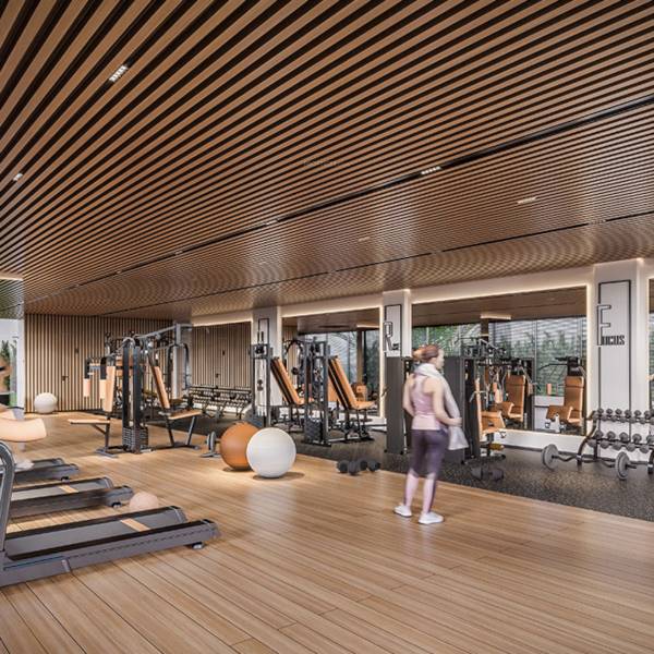 Gymnasium altezza Gymnasium