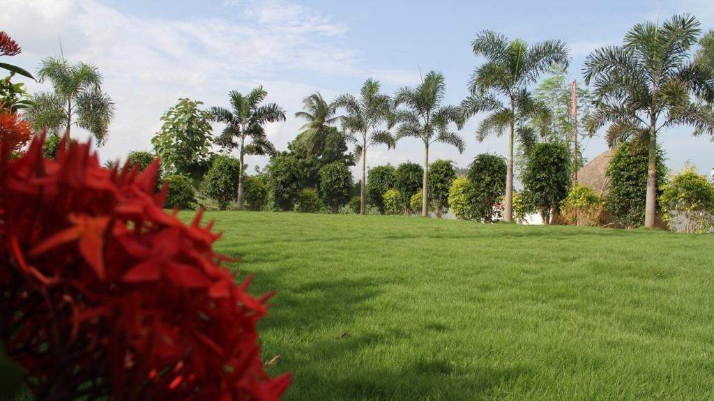  aditya grand phase 4 2 Landscape Garden and Tree Planting