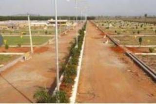 Project Image Project Image