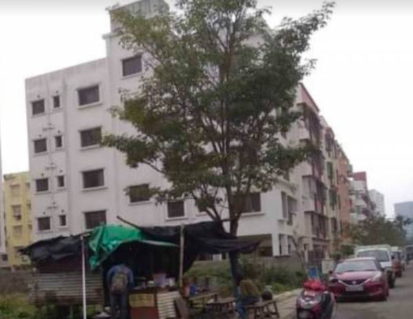  new-project Elevation