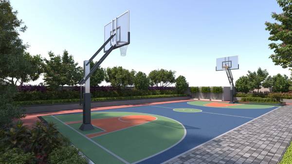 axis Basketball Court