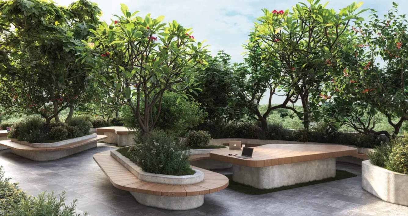  brooklyn towers town park phase 2 w2 Landscape Garden and Tree Planting