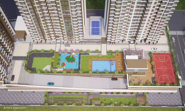  west-county-dosti-tulip Others