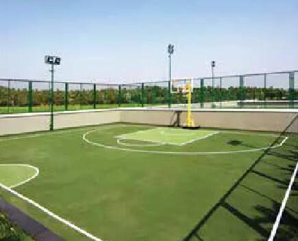  brooklyn-towers-townpark Basketball Court