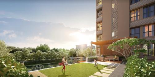  pragati Landscape Garden and Tree Planting