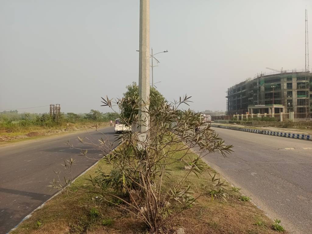  ponchovoti garden Plot