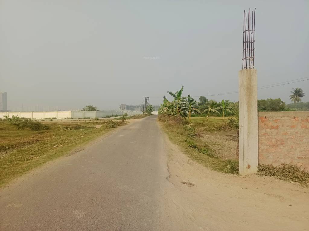  ponchovoti garden Plot