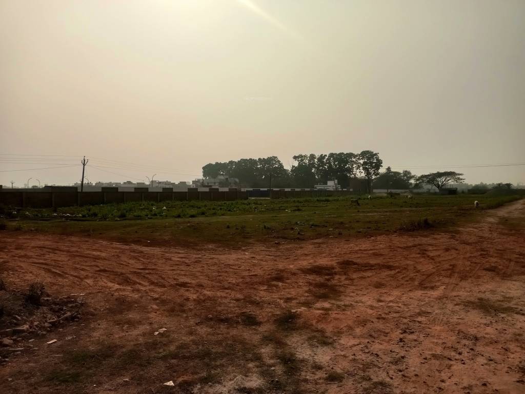  ponchovoti garden Plot