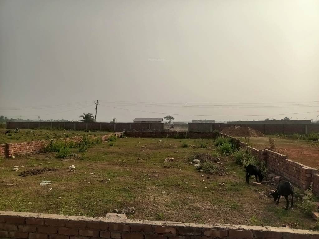  ponchovoti garden Plot