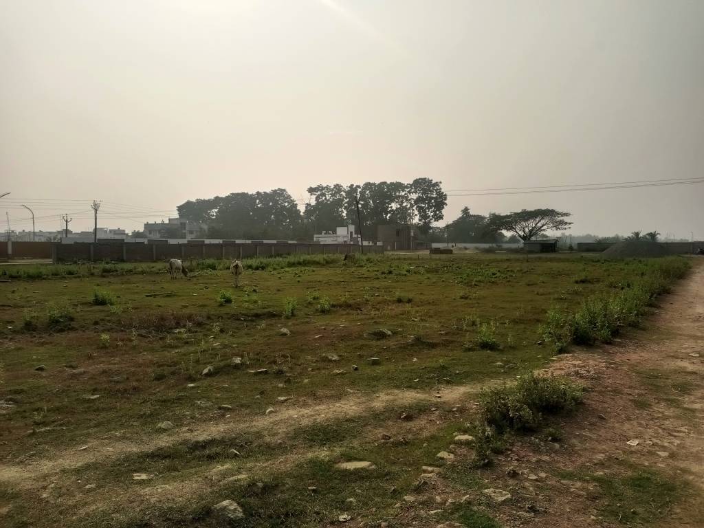  ponchovoti garden Plot