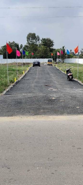  blooming garden Plot