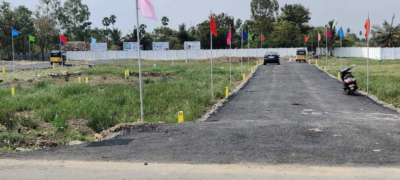  blooming garden Plot