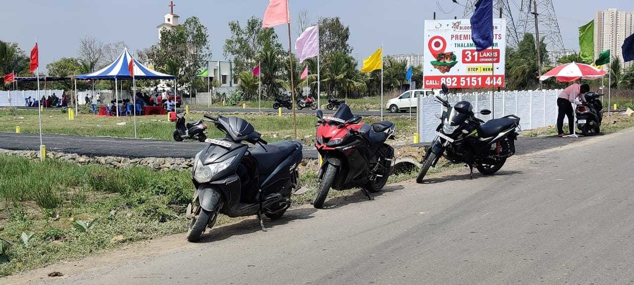  blooming garden Plot