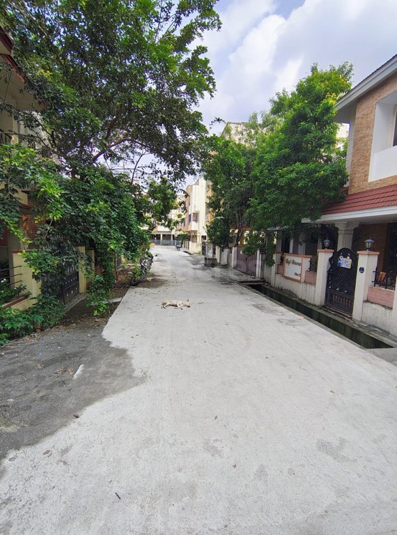  queens park Internal Roads & Footpaths