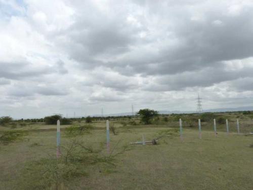  megacity-phase-i Landscape Garden and Tree Planting