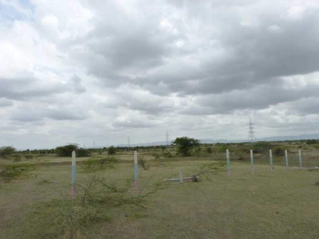  megacity phase i Landscape Garden and Tree Planting