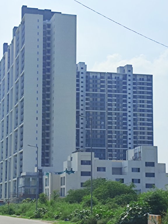  woods phase 3 Plumeria Tower 10 Construction Status Jan 25