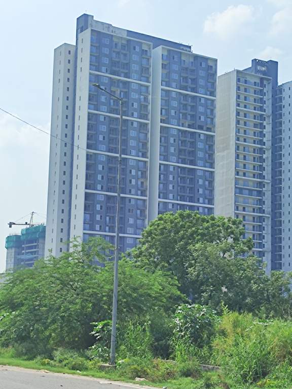  woods phase 3 Plumeria Tower 10 Construction Status Jan 25