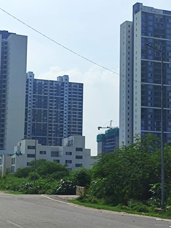  woods phase 3 Plumeria Tower 10 Construction Status Jan 25