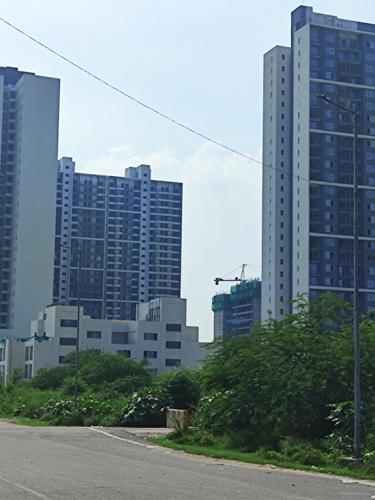 Plumeria Tower 10 Construction Status Jan-25 woods-phase-3 Plumeria Tower 10 Construction Status Jan-25