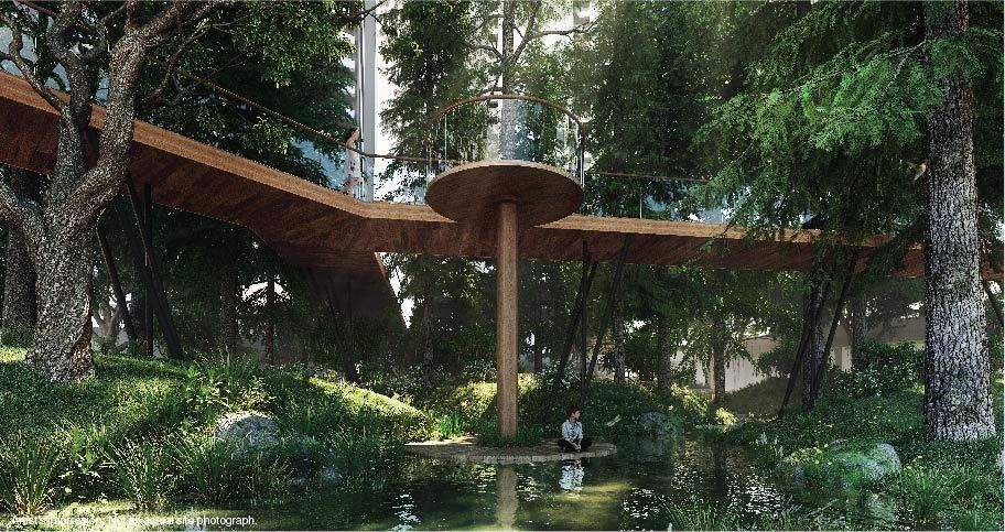  woods phase 3 Landscape Garden and Tree Planting