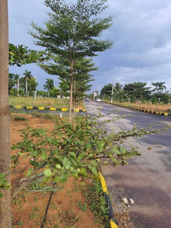  golden exotica Internal Roads & Footpaths