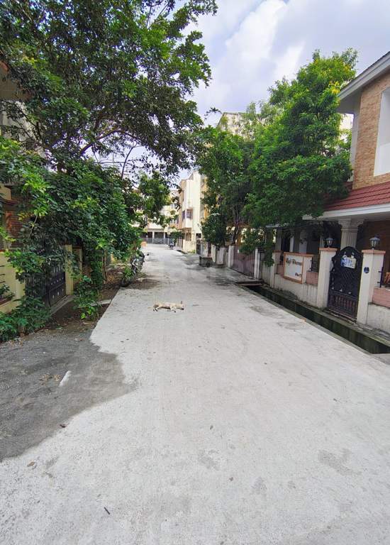  golden exotica Internal Roads & Footpaths