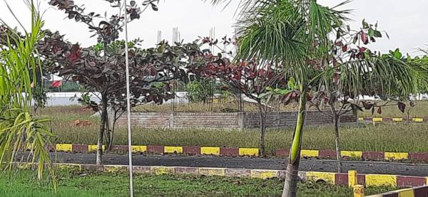  mahalakshmi-nagar Plot