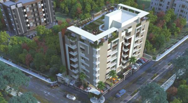  ramaa-elite Elevation