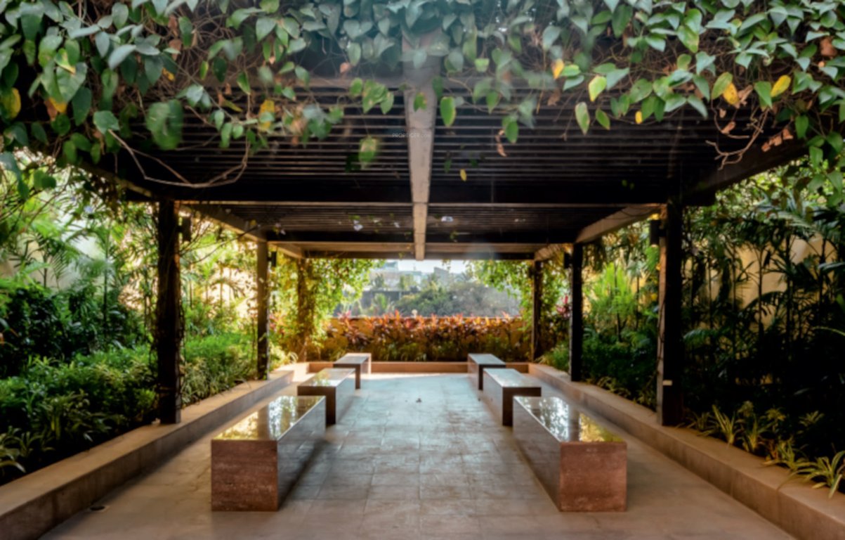 vasant blossom Senior Citizen Siteout