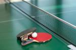 Table Tennis  vasant-blossom Table Tennis